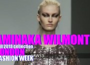 london fall 2013 AMINAKA WILMONT