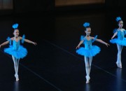 Ballettstudio Karussell, VOGELTANZ, video